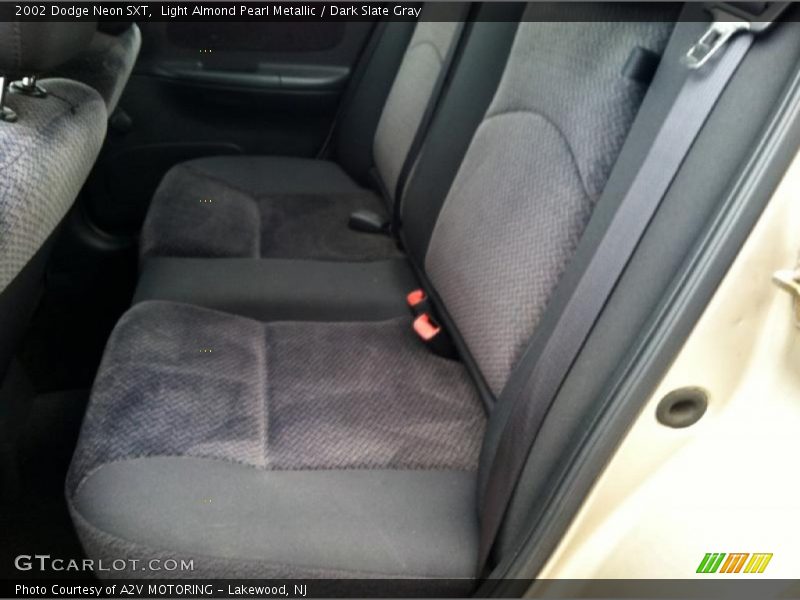Light Almond Pearl Metallic / Dark Slate Gray 2002 Dodge Neon SXT