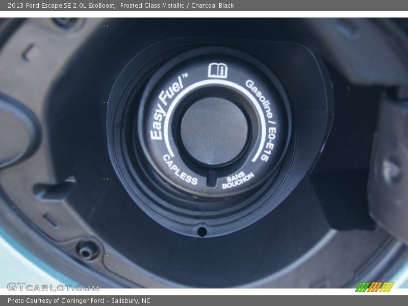 Frosted Glass Metallic / Charcoal Black 2013 Ford Escape SE 2.0L EcoBoost
