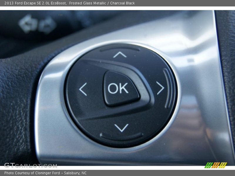 Frosted Glass Metallic / Charcoal Black 2013 Ford Escape SE 2.0L EcoBoost