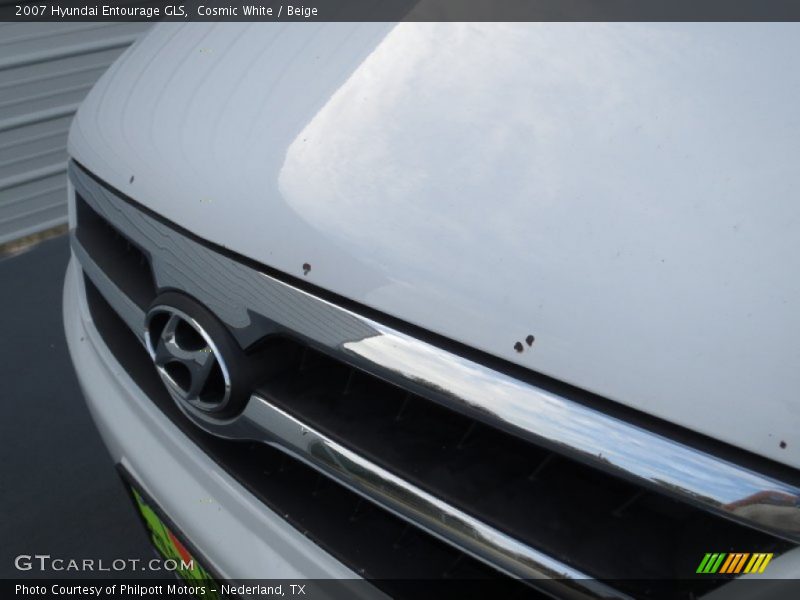 Cosmic White / Beige 2007 Hyundai Entourage GLS