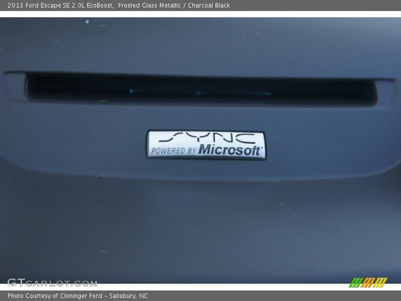 Frosted Glass Metallic / Charcoal Black 2013 Ford Escape SE 2.0L EcoBoost