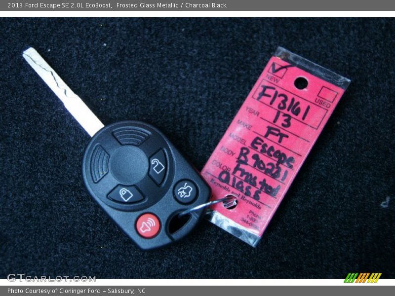 Frosted Glass Metallic / Charcoal Black 2013 Ford Escape SE 2.0L EcoBoost