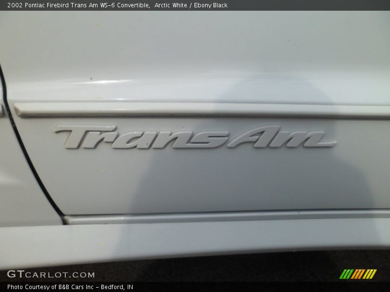  2002 Firebird Trans Am WS-6 Convertible Logo