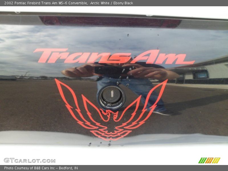  2002 Firebird Trans Am WS-6 Convertible Logo