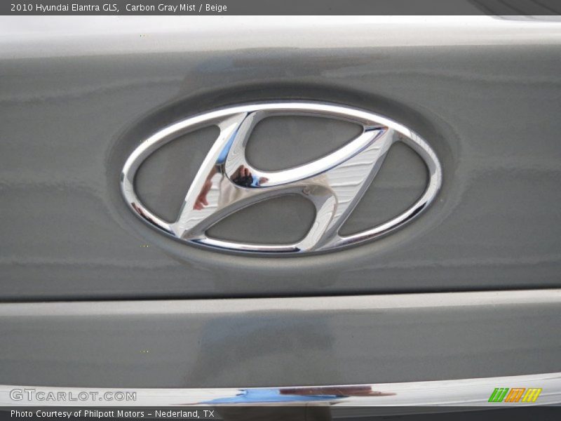 Carbon Gray Mist / Beige 2010 Hyundai Elantra GLS