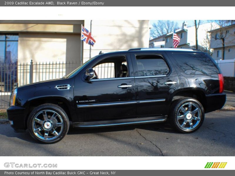 Black Raven / Ebony/Ebony 2009 Cadillac Escalade AWD
