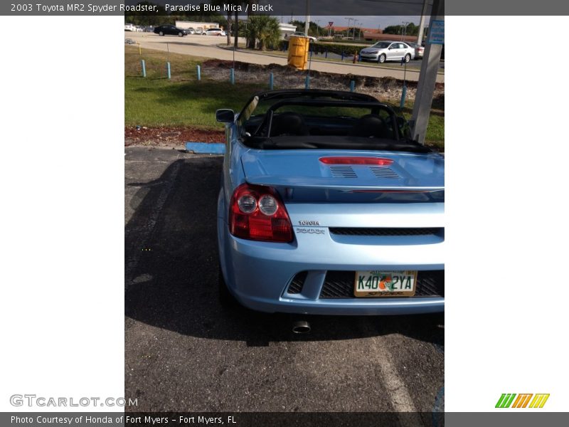 Paradise Blue Mica / Black 2003 Toyota MR2 Spyder Roadster
