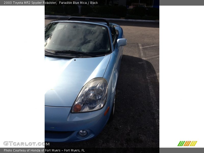 Paradise Blue Mica / Black 2003 Toyota MR2 Spyder Roadster