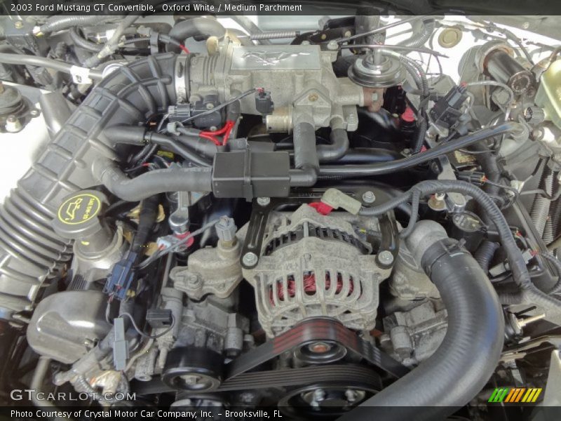  2003 Mustang GT Convertible Engine - 4.6 Liter SOHC 16-Valve V8