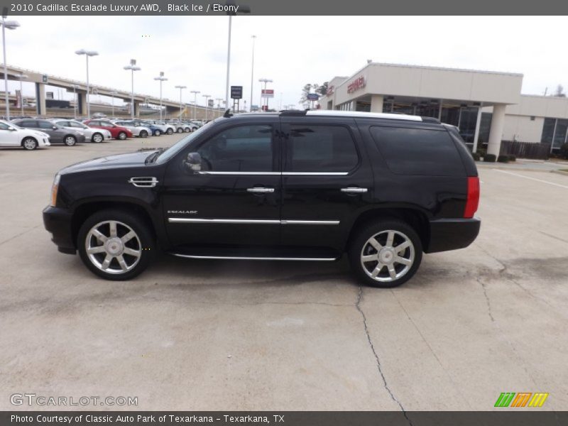 Black Ice / Ebony 2010 Cadillac Escalade Luxury AWD