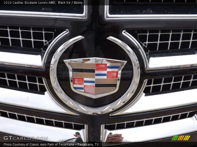 Black Ice / Ebony 2010 Cadillac Escalade Luxury AWD