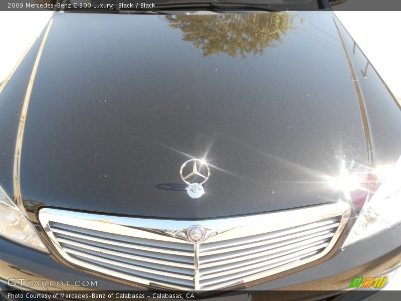 Black / Black 2009 Mercedes-Benz C 300 Luxury