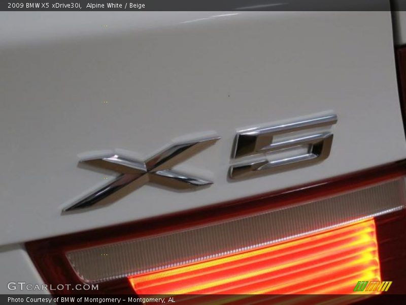 Alpine White / Beige 2009 BMW X5 xDrive30i