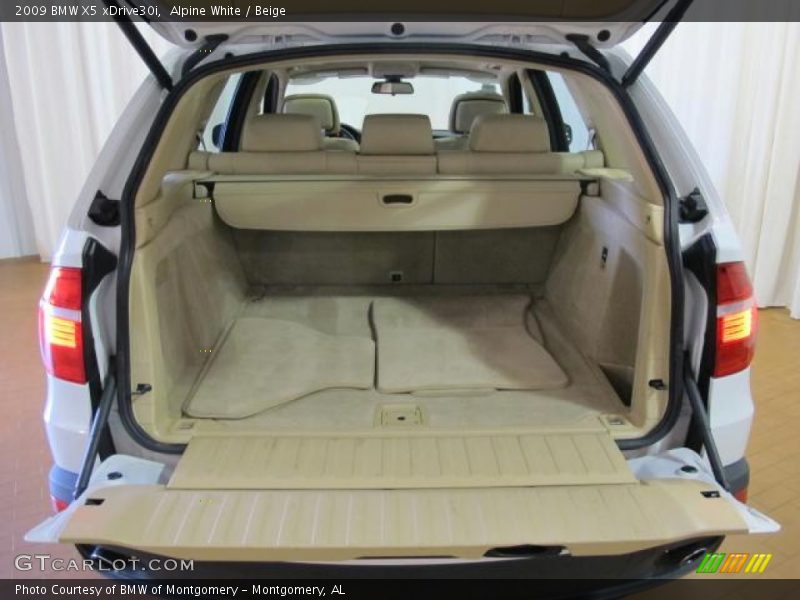 Alpine White / Beige 2009 BMW X5 xDrive30i