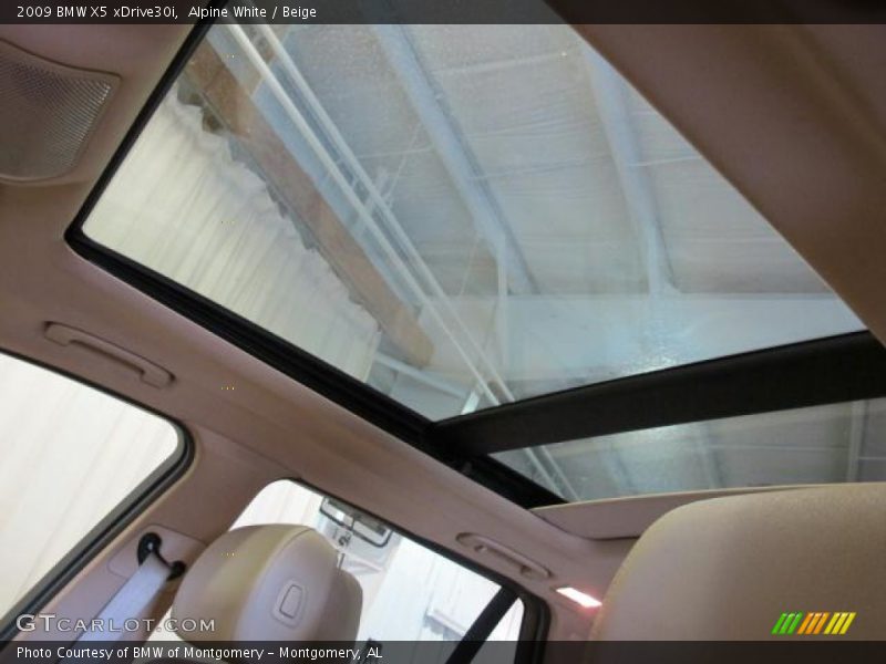 Alpine White / Beige 2009 BMW X5 xDrive30i