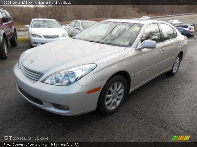 Alabaster Metallic / Black 2003 Lexus ES 300