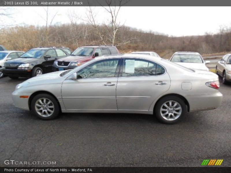 Alabaster Metallic / Black 2003 Lexus ES 300