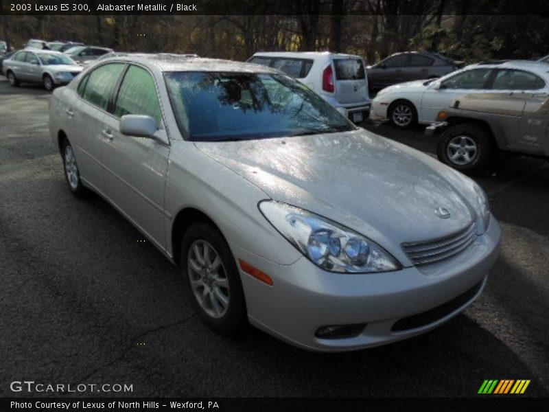 Alabaster Metallic / Black 2003 Lexus ES 300