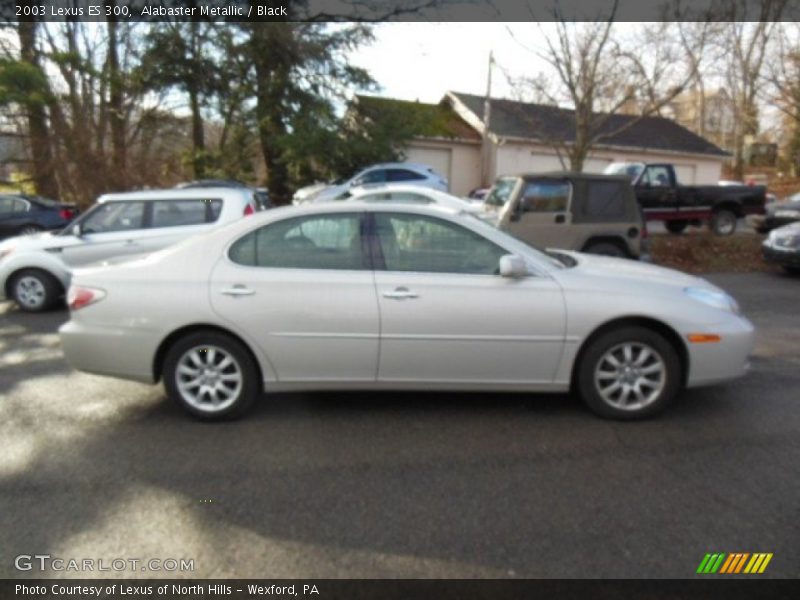 Alabaster Metallic / Black 2003 Lexus ES 300