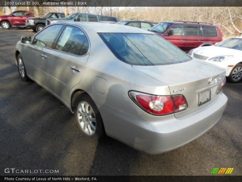 Alabaster Metallic / Black 2003 Lexus ES 300