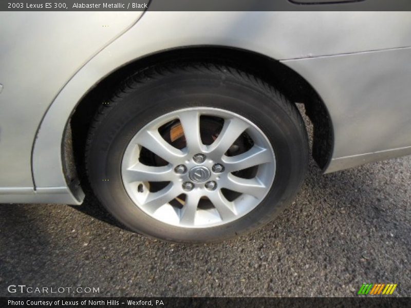 Alabaster Metallic / Black 2003 Lexus ES 300