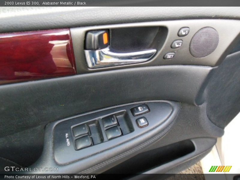 Alabaster Metallic / Black 2003 Lexus ES 300