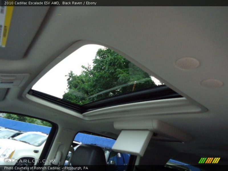 Black Raven / Ebony 2010 Cadillac Escalade ESV AWD