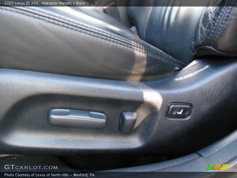 Alabaster Metallic / Black 2003 Lexus ES 300