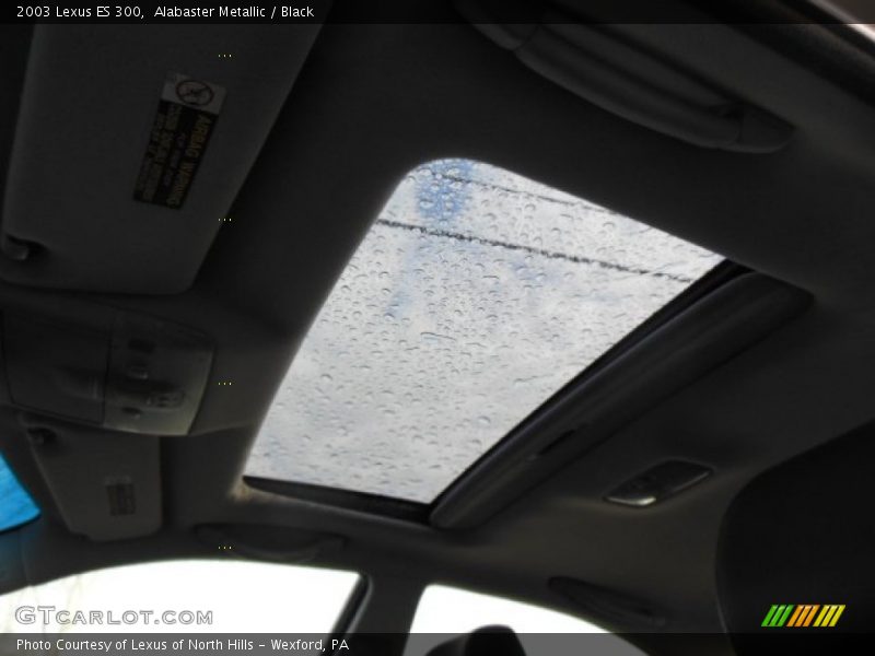 Alabaster Metallic / Black 2003 Lexus ES 300