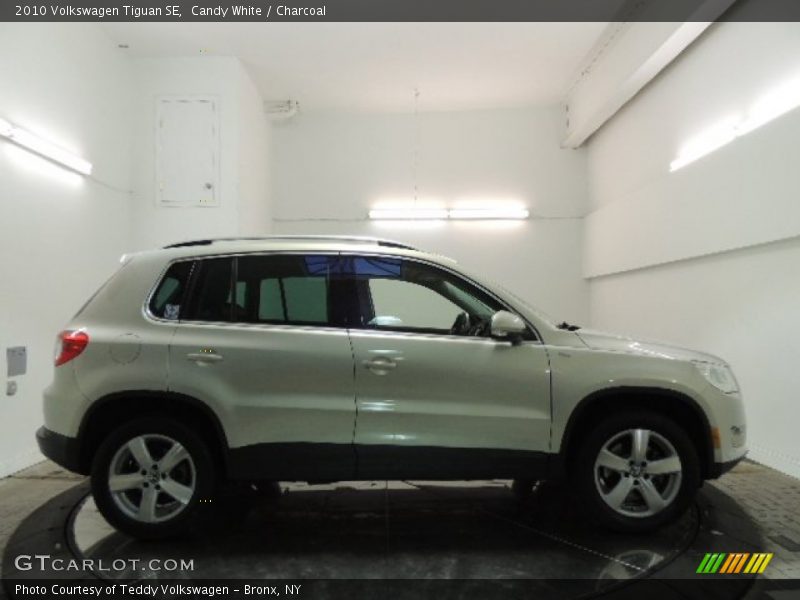 Candy White / Charcoal 2010 Volkswagen Tiguan SE