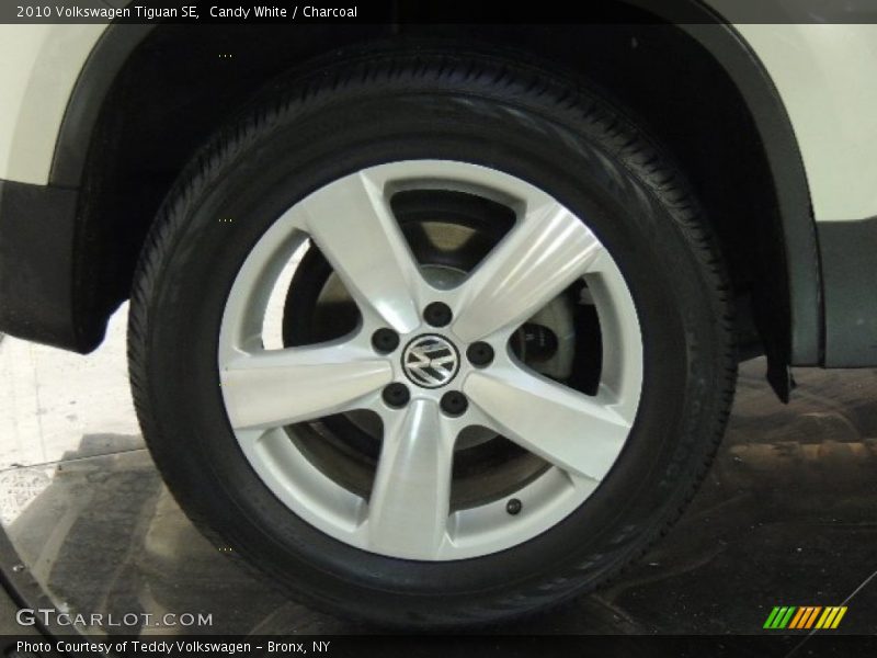 Candy White / Charcoal 2010 Volkswagen Tiguan SE