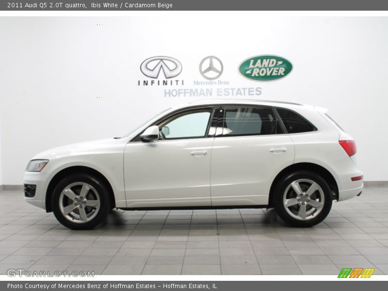 Ibis White / Cardamom Beige 2011 Audi Q5 2.0T quattro