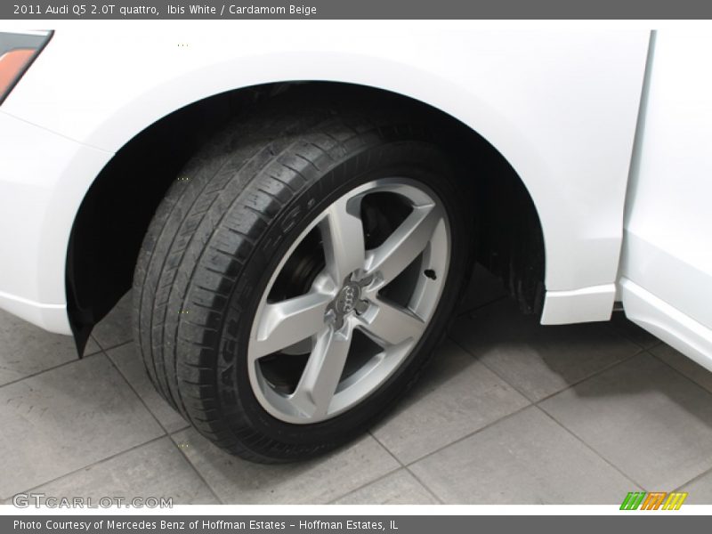 Ibis White / Cardamom Beige 2011 Audi Q5 2.0T quattro