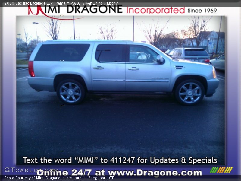 Silver Lining / Ebony 2010 Cadillac Escalade ESV Premium AWD