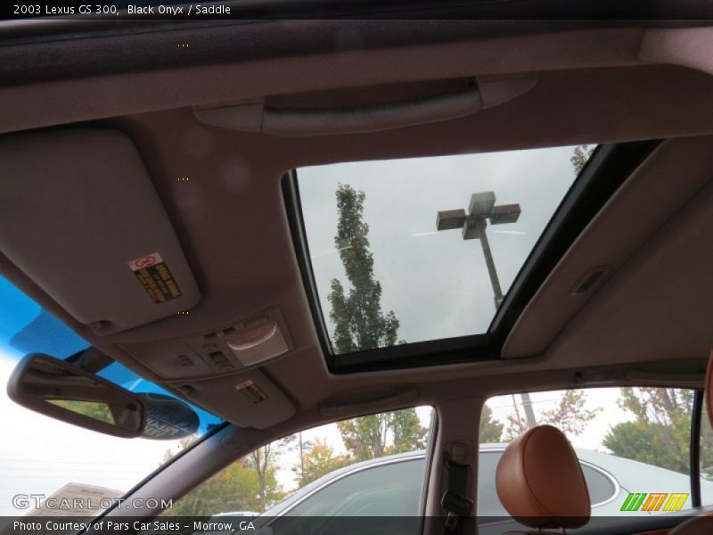 Black Onyx / Saddle 2003 Lexus GS 300