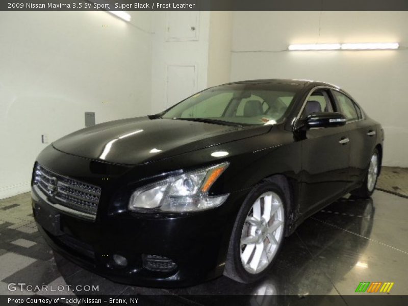 Super Black / Frost Leather 2009 Nissan Maxima 3.5 SV Sport