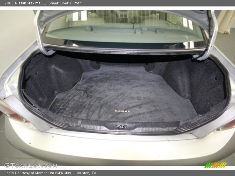 Sheer Silver / Frost 2003 Nissan Maxima SE