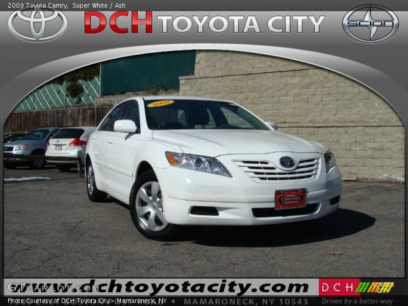 Super White / Ash 2009 Toyota Camry