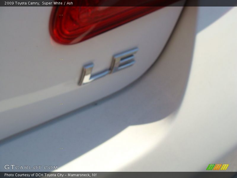 Super White / Ash 2009 Toyota Camry