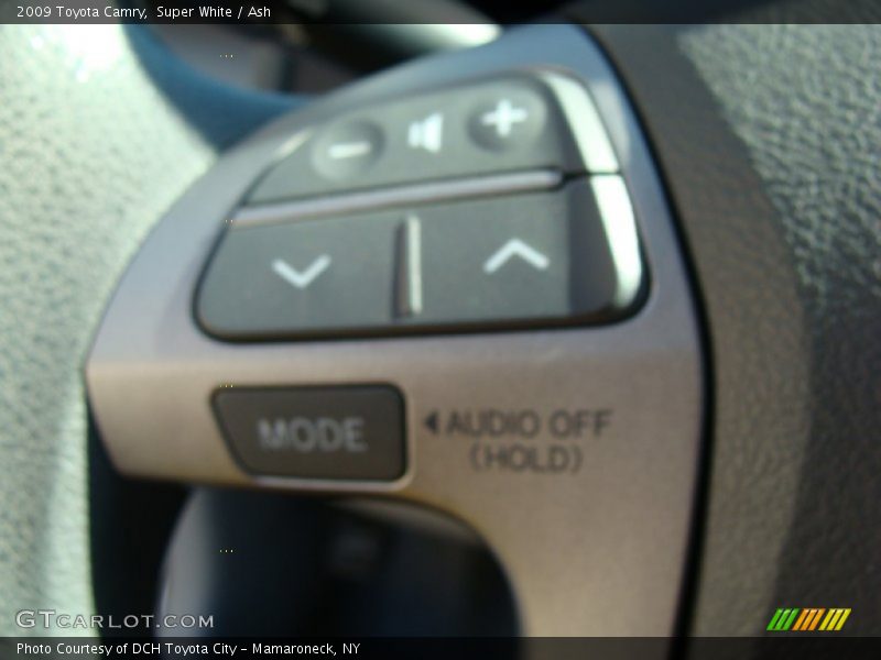 Super White / Ash 2009 Toyota Camry