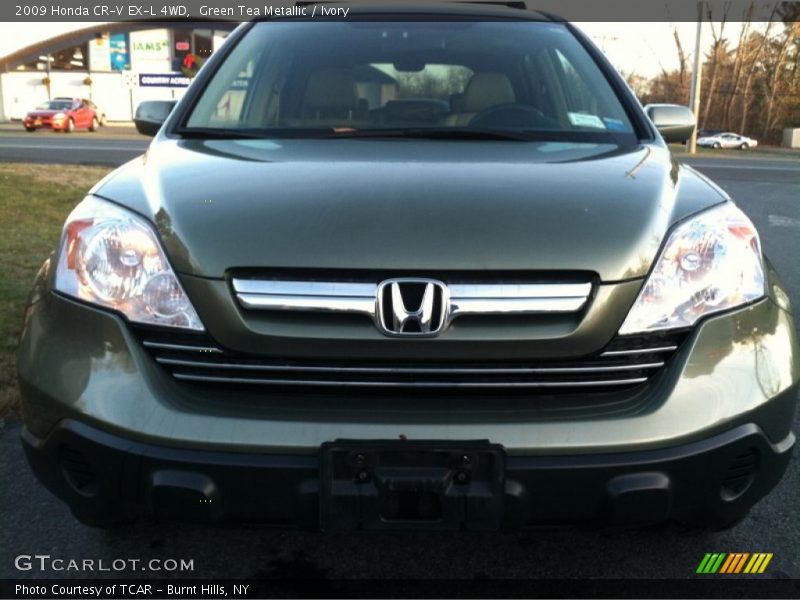 Green Tea Metallic / Ivory 2009 Honda CR-V EX-L 4WD