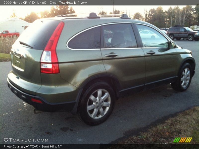 Green Tea Metallic / Ivory 2009 Honda CR-V EX-L 4WD