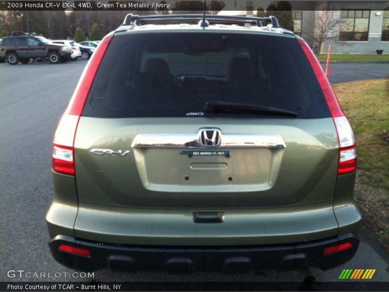 Green Tea Metallic / Ivory 2009 Honda CR-V EX-L 4WD