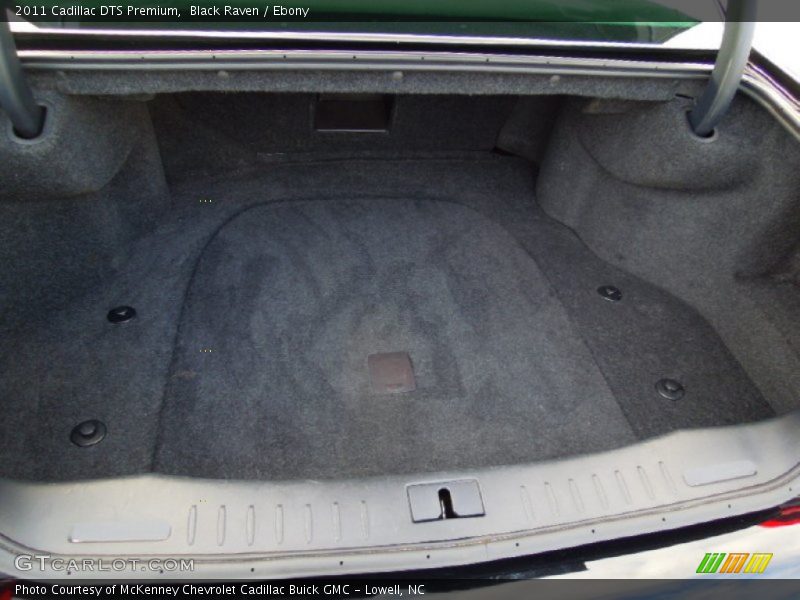  2011 DTS Premium Trunk