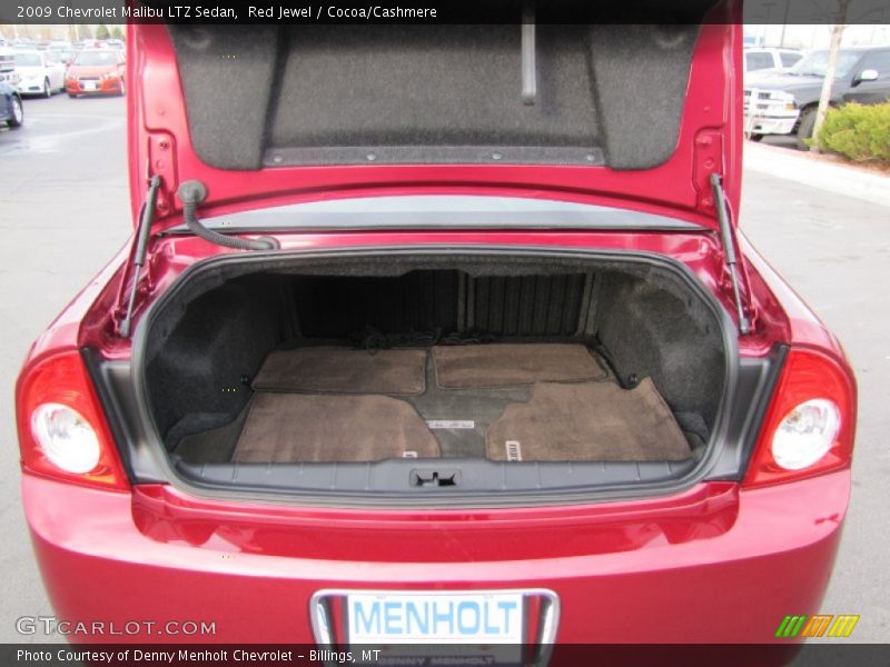Red Jewel / Cocoa/Cashmere 2009 Chevrolet Malibu LTZ Sedan