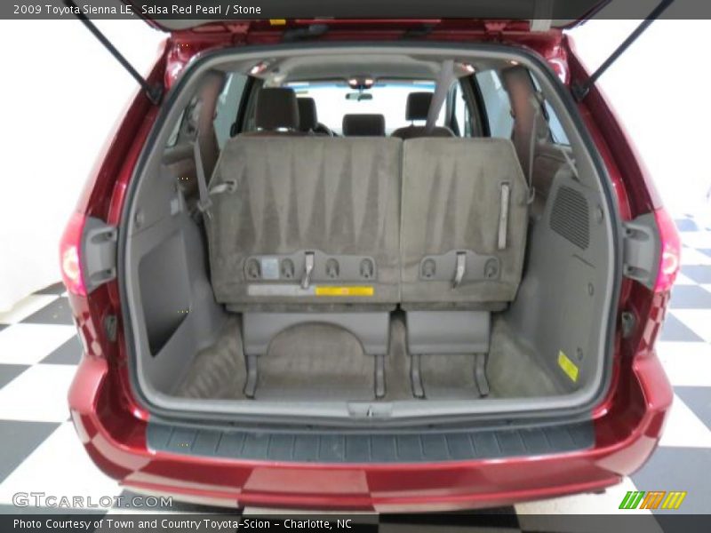 Salsa Red Pearl / Stone 2009 Toyota Sienna LE