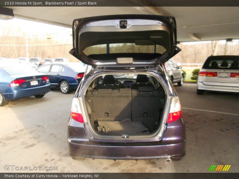 Blackberry Pearl / Sport Black 2010 Honda Fit Sport