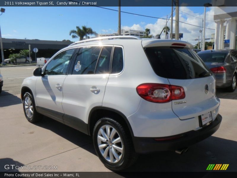 Candy White / Charcoal 2011 Volkswagen Tiguan SE