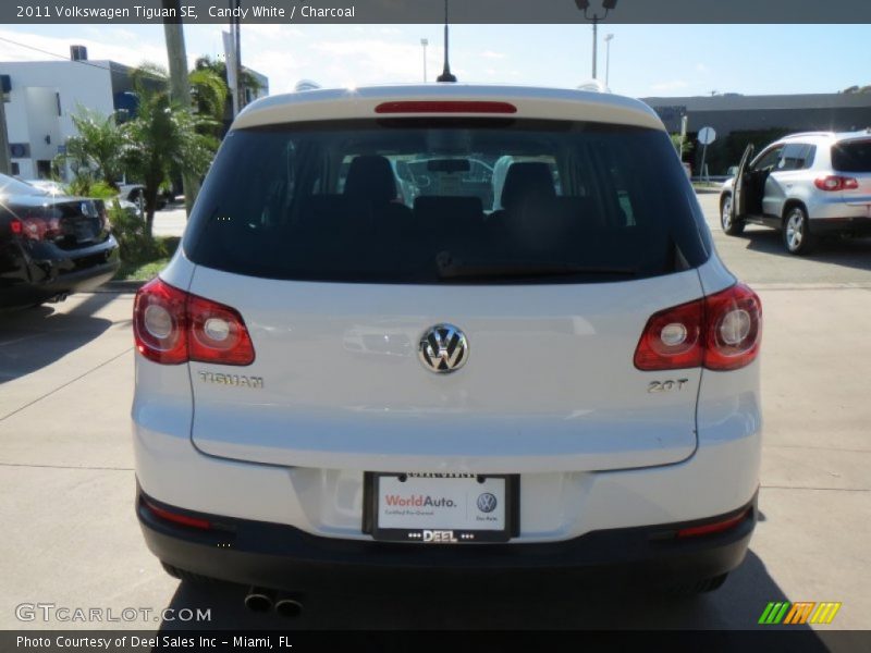 Candy White / Charcoal 2011 Volkswagen Tiguan SE