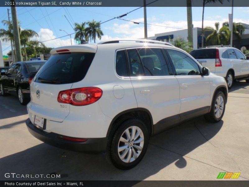 Candy White / Charcoal 2011 Volkswagen Tiguan SE